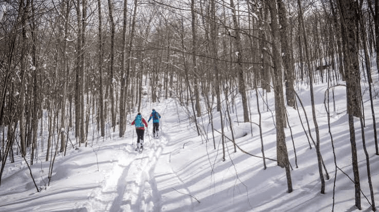 Ascutney ski area photo 2