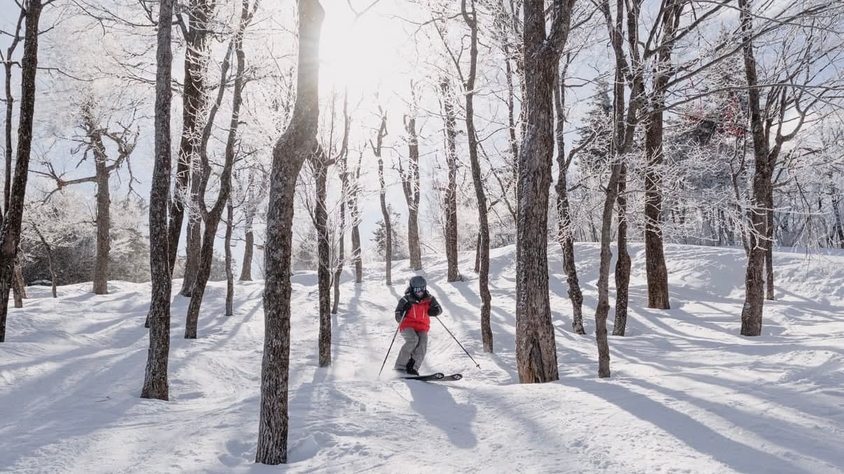 Magic Mountain ski area photo 3