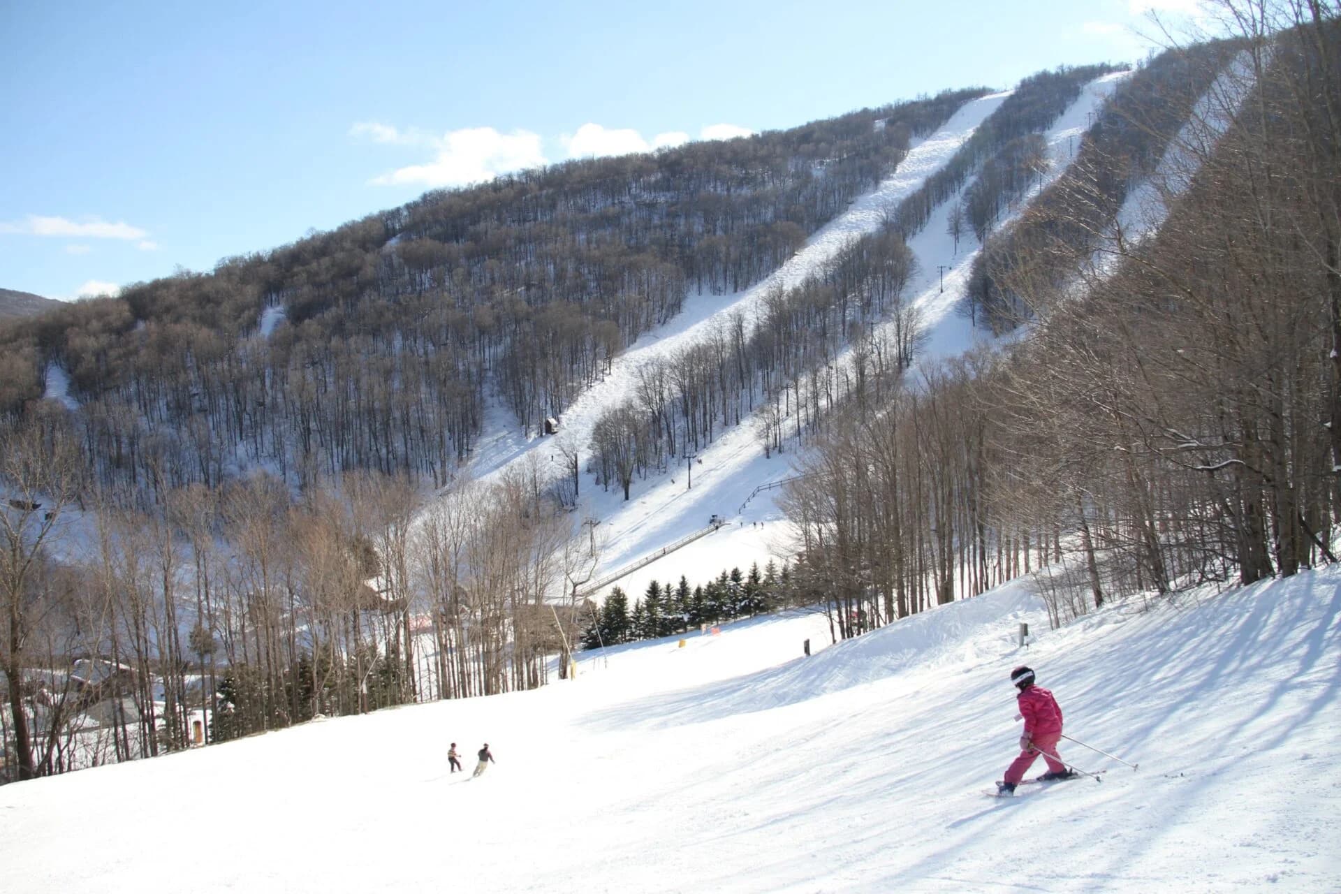Plattekill ski area photo 2